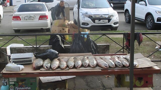 Штрафы для нелегальных торговцев в Хабаровске увеличат в четыре раза - Transsibinfo, 15.11.2025