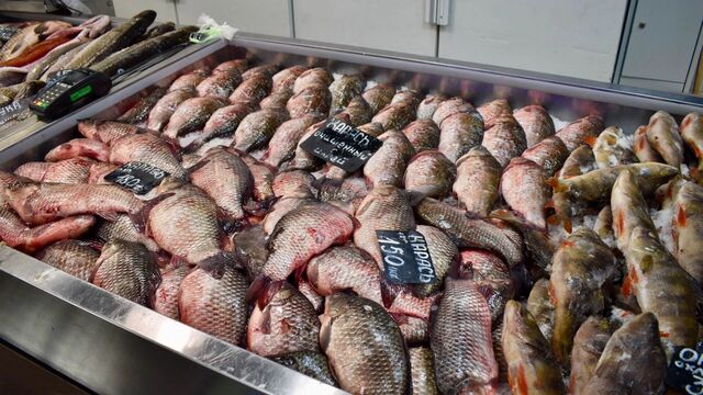 Ростовстат назвал города Ростовской области с самой дешевой рыбой - RostovGazeta, 15.11.2025