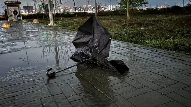 В Ростовской области ветер усилится до 65 километров в час в ближайшие сутки В Ростовской области ветер усилится до 65 километров в час в ближайшие сутки - RostovGazeta, 17.11.2025