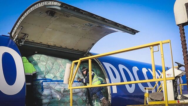 Минтранс РФ дал надежду на открытие аэропорта Платов в Ростове - RostovGazeta, 18.11.2025