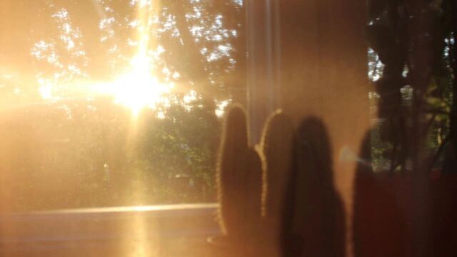 Синоптики рассказали, сколько продержится рекордное тепло в Ростове Синоптики рассказали, сколько продержится рекордное тепло в Ростове - RostovGazeta, 18.11.2025