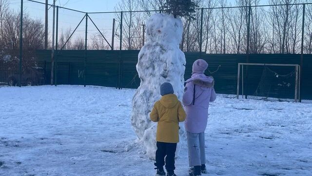 Начиная с 2012-года зимы в Ростове становятся все теплее - RostovGazeta, 18.11.2025
