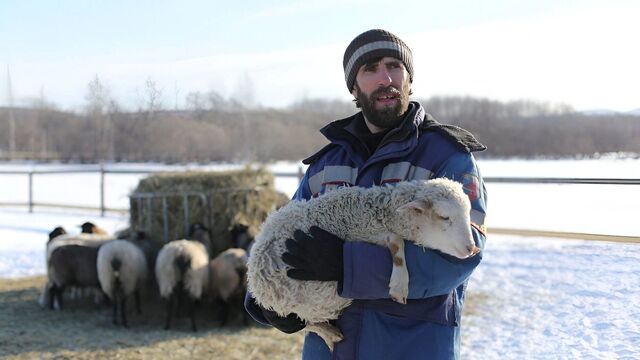 Семьям помогают стать богатыми в Хабаровском крае - Transsibinfo, 19.11.2025
