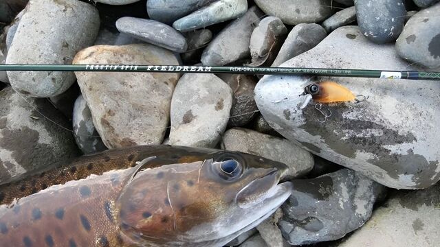 Рекомендованный объем вылова ленка освоили рыбаки в Хабаровском крае - Transsibinfo, 19.11.2025