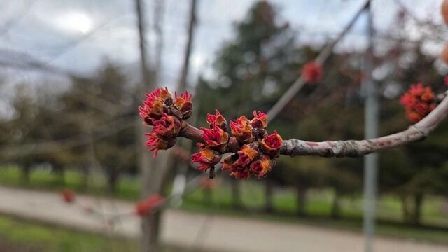 Солнечная погода возвращается на Кубань: прогноз погоды в городах и районах края - kubanpress.ru, 06.03.2026