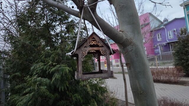 Погода в Краснодаре порадует: до 20 тепла - kubanpress.ru, 08.03.2026