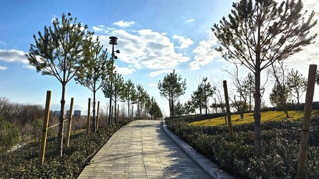 Новые аллеи открылись в парке «Краснодар»: готов к новому сезону - kubanpress.ru, 11.03.2026