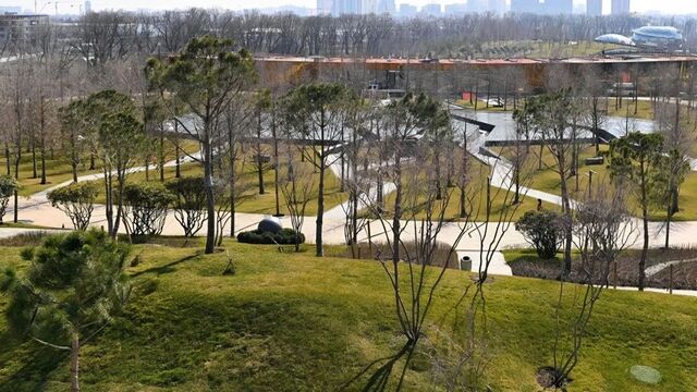 Расширение маршрутов: в Парке Облаков «Краснодара» открыли новые аллеи для прогулок - kubanpress.ru, 22.03.2026