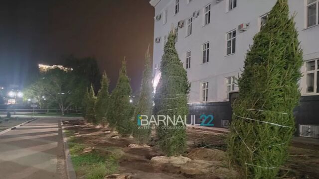 У здания правительства Алтайского края посадили новые деревья - ИА Амител, 11.05.2024