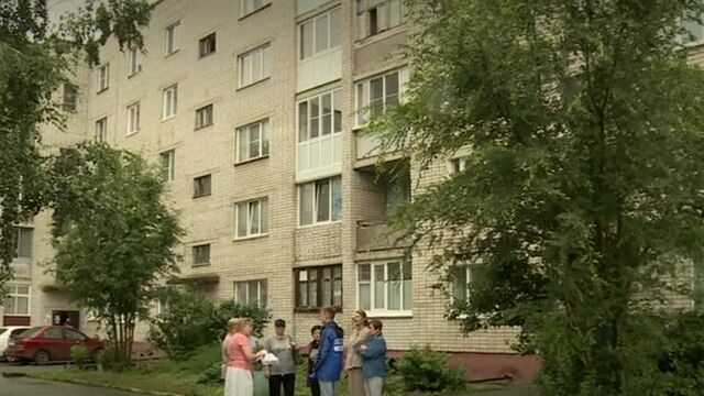 Жительница Барнаула приютила в квартире около ста кошек - ИА Амител, 13.07.2024