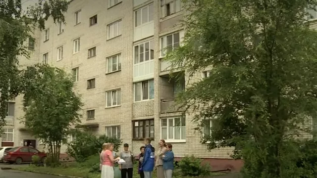 Жительница Барнаула приютила в квартире около ста кошек - ИА Амител, 13.07.2024