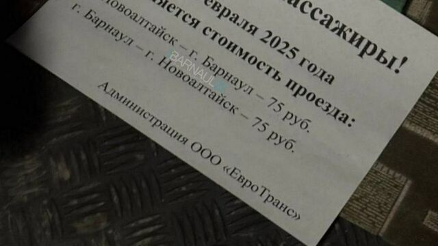 На барнаульском автобусном маршруте № 125 вырастет стоимость проезда до Новоалтайска - ИА Амител, 15.01.2025