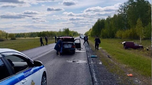 В Новосибирской области водитель сбил двух дорожников и отправился в колонию-поселение - ИА Амител, 15.03.2025