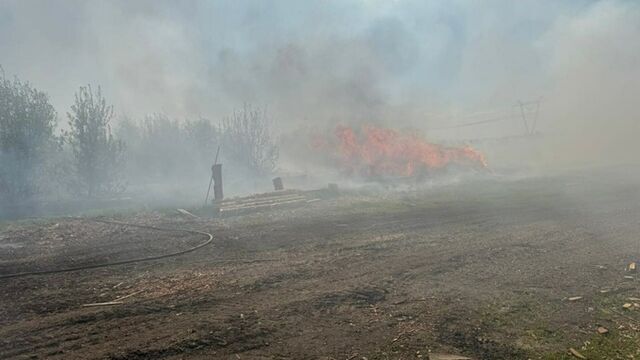 На Алтае из-за пожара на пилораме вспыхнуло 900 "квадратов" травы - ИА Амител, 20.05.2025