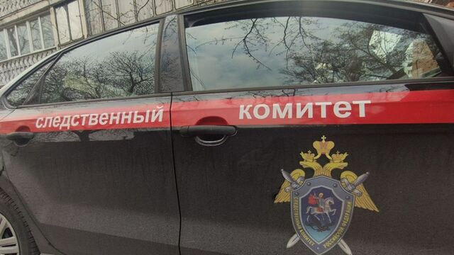 Педофила, надругавшегося над десятилетним мальчиком на Алтае, заключили под стражу - ИА Амител, 20.06.2025