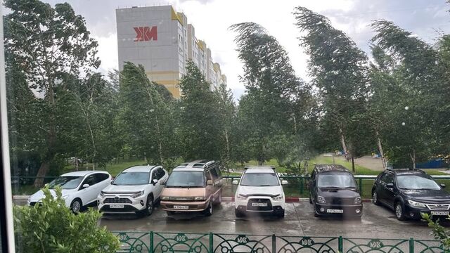 Ливень и ураганный ветер обрушились на Барнаул - ИА Амител, 21.06.2025