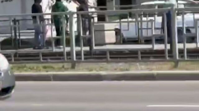 Соцсети: в Барнауле дети "развлекаются", цепляясь за трамваи и автобусы - ИА Амител, 29.06.2025