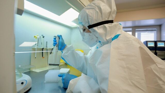 В Новосибирске ученые разработали революционный препарат против бешенства - ИА Амител, 01.09.2025