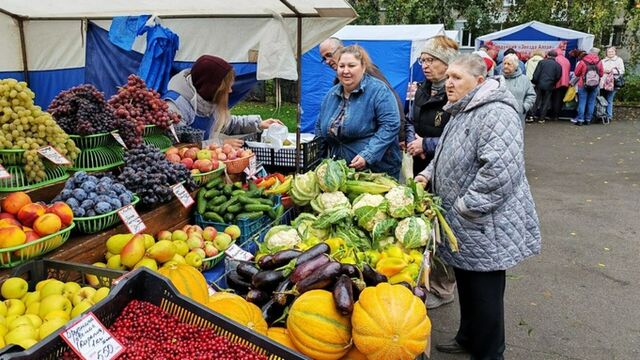 Продовольственные ярмарки в Барнауле собрали 4,1 млн рублей - ИА Амител, 13.09.2025