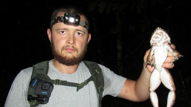 Ученый с Алтая съездил в Папуа — Новую Гвинею и открыл опасные виды гадюк и пауков Ученый с Алтая съездил в Папуа — Новую Гвинею и открыл опасные виды гадюк и пауков - ИА Амител, 14.09.2025