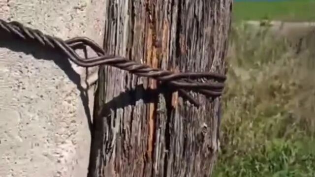 Полсотни жителей поселка Алтайского края могут остаться без света из-за ветхих столбов ЛЭП - ИА Амител, 14.09.2025