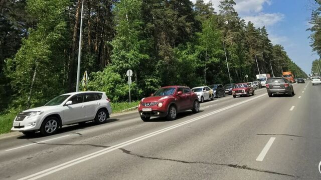 В Барнауле до декабря спилят аварийные деревья на участке в границах Ленточного бора В Барнауле до декабря спилят аварийные деревья на участке в границах Ленточного бора - ИА Амител, 27.10.2025