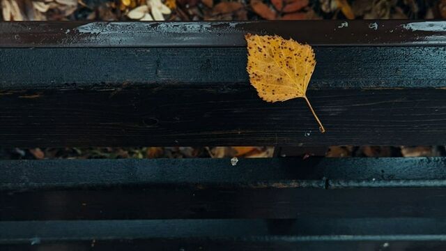 До +6. О погоде в Барнауле 3 ноября - ИА Амител, 03.11.2025