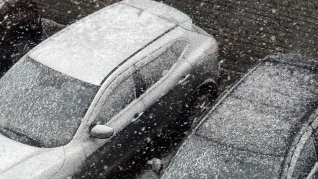 Мокрый снег и порывистый ветер. О погоде в Алтайском крае 4 ноября Мокрый снег и порывистый ветер. О погоде в Алтайском крае 4 ноября - ИА Амител, 04.11.2025