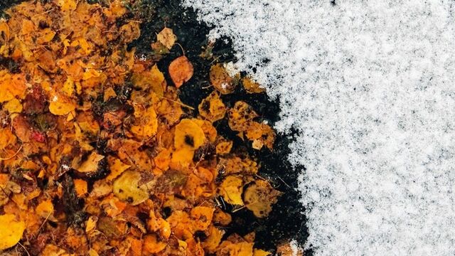 Такой день. Уходящая в землю вода и подробности пожара в бывшем здании клуба "Опера" - ИА Амител, 04.11.2025