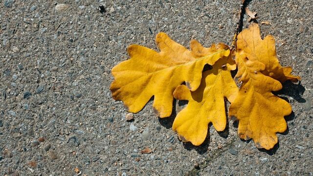 До -3. О погоде в Барнауле 5 ноября - ИА Амител, 05.11.2025