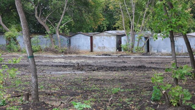 В мэрии Барнаула прокомментировали снос 1,2 тысячи деревьев в бывшем парке имени Ленина - ИА Амител, 05.11.2025