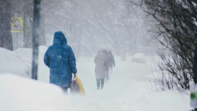 Прокурор Алтайского края потребовал оперативно устранять последствия непогоды - ИА Амител, 08.11.2025