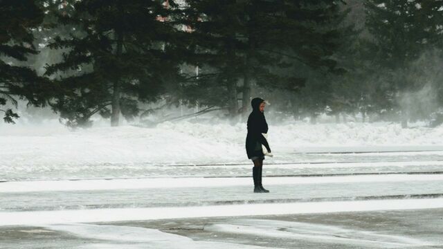 Барнаульцам напомнили правила безопасности при сильном ветре - ИА Амител, 09.11.2025