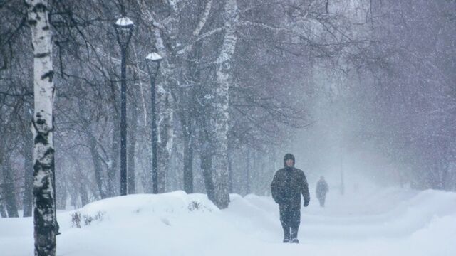 Метели, снег и порывистый ветер с новыми силами обрушатся на Алтайский край 10 ноября - ИА Амител, 09.11.2025