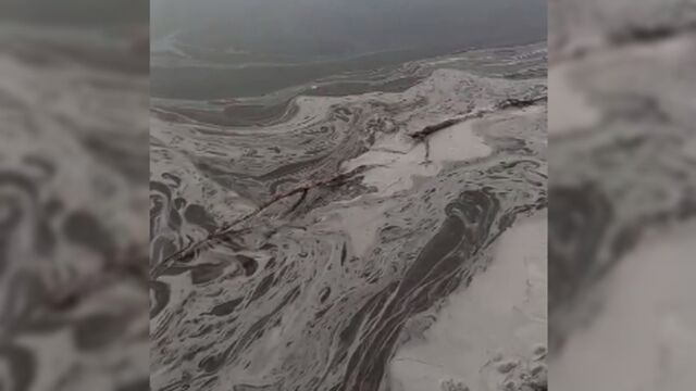 "Жаль рыбу и птиц!" Жители Бийска заметили жидкость, похожую на мазут, в реке Бия - ИА Амител, 10.11.2025