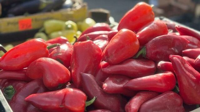 Заключительные осенние ярмарки пройдут в Барнауле 15 ноября - ИА Амител, 12.11.2025