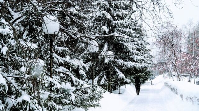 До -3. О погоде в Барнауле 15 ноября - ИА Амител, 15.11.2025