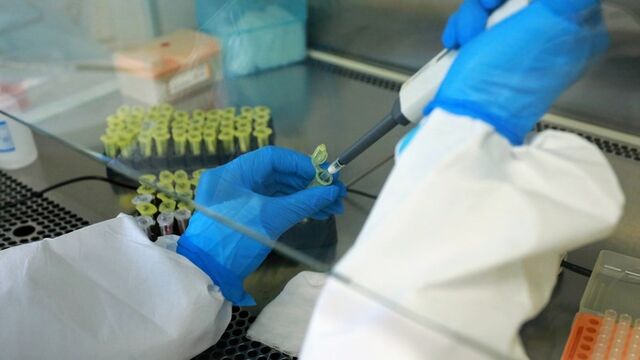 Ученые рассказали, как кровь может влиять на интеллект Ученые рассказали, как кровь может влиять на интеллект - ИА Амител, 15.11.2025