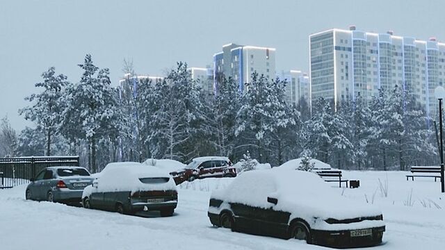 До -3. О погоде в Барнауле 16 ноября - ИА Амител, 16.11.2025