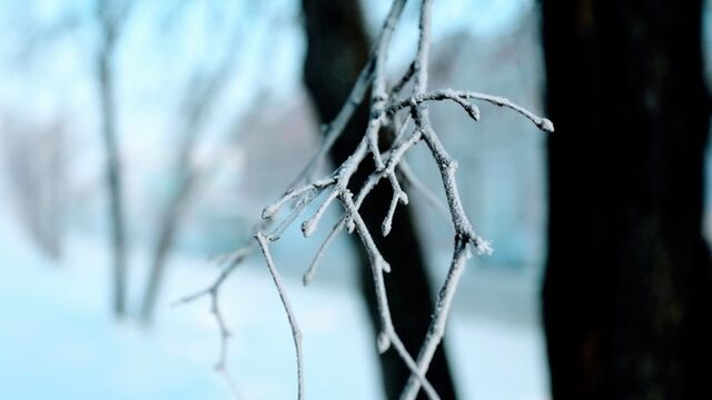 До +1. О погоде в Барнауле 5 марта До +1. О погоде в Барнауле 5 марта - ИА Амител, 05.03.2026