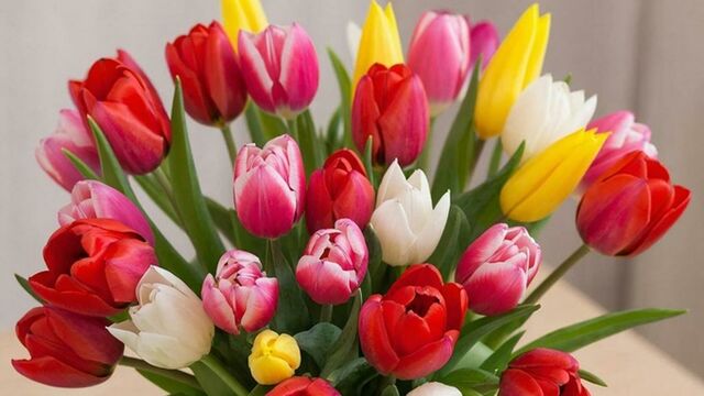 Врач рассказала, какие букеты к 8 Марта безопаснее для людей с аллергией - ИА Амител, 06.03.2026