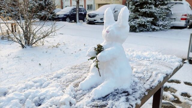 До +2. О погоде в Барнауле 7 марта - ИА Амител, 07.03.2026