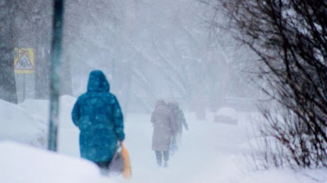 Резкое похолодание до -27 и сильный ветер. На Алтае объявили штормовое предупреждение - ИА Амител, 10.03.2026