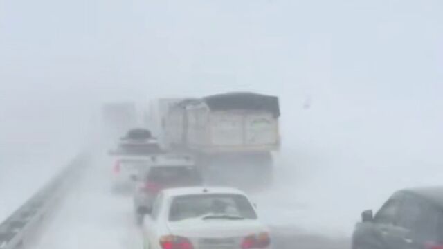 "Ничего не видно". Поездка по трассе Новосибирск — Бийск в метель превратилась в испытание - ИА Амител, 13.03.2026