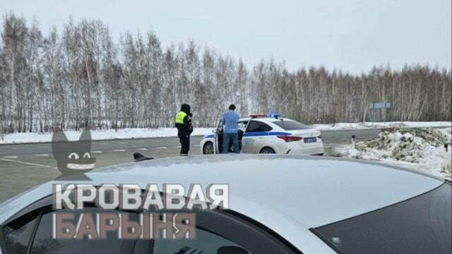 Блок-посты и запрет на въезд. Что происходит в селах с убийством скота под Новосибирском - ИА Амител, 17.03.2026
