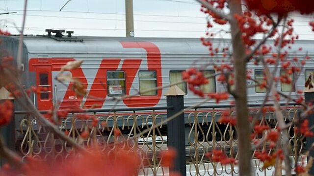 В Алтайском крае за выходные второй нетрезвый мужчина попал под поезд В Алтайском крае за выходные второй нетрезвый мужчина попал под поезд - ИА Амител, 21.03.2026