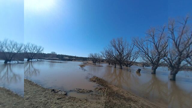 Пять приусадебных участков остаются подтопленными в Алтайском крае - ИА Амител, 05.04.2026