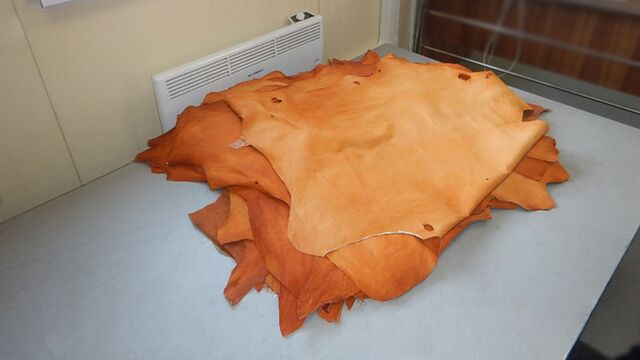 Шкуры из Монголии не смогли попасть в Алтайский край - ИА Амител, 06.04.2026