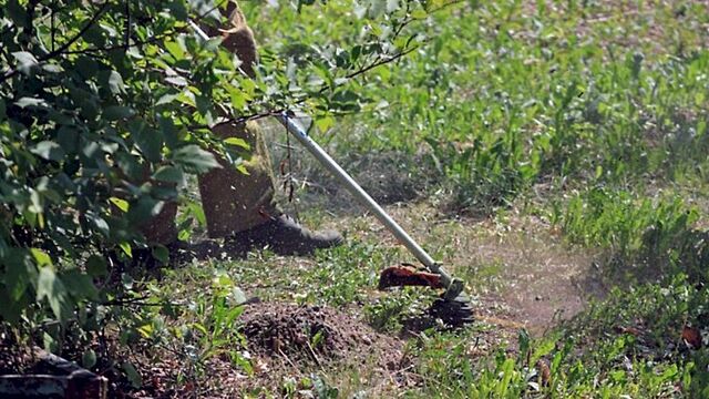Российские дачники стали получать от аферистов уведомления о срочных сборах - ИА Амител, 07.04.2026