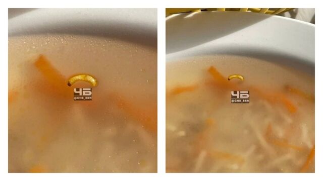 Суп с личинкой получил студент-льготник в столовой алтайского колледжа - ИА Амител, 07.04.2026